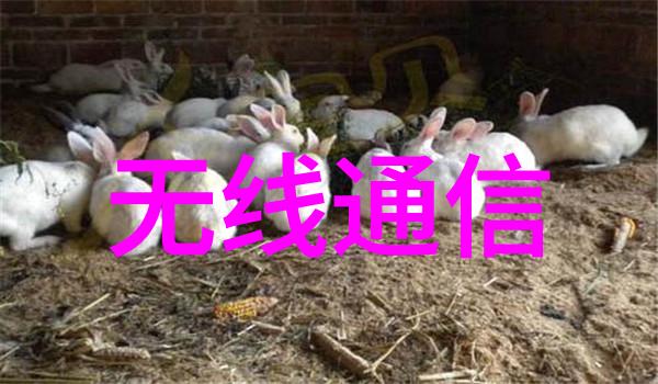 工业资讯工业实时操作系统的特性与发展趋势