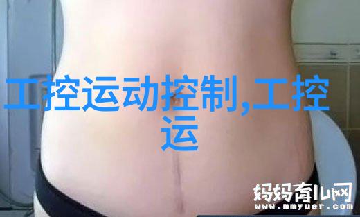 扬子石化中控技术研讨会举办