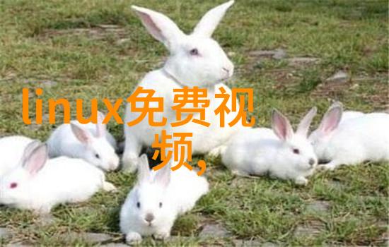 格兰仕掀起家电巨头造芯之风