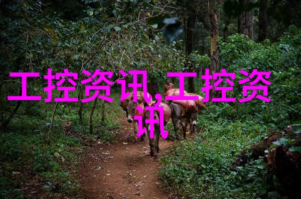 2025中国深圳国际大屏幕展览会